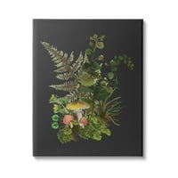 Erdőgyógynövények csírázása természet botanikai és virágos grafikus galéria csomagolt vászon nyomtatott fal művészet