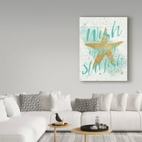 Védjegy Szépművészeti „Ezüst tengeri élet Aqua Starfish Shiplap” vászon művészete a Wild Apple Portfolio