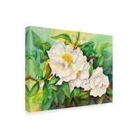 Joanne Porter védjegye Képzőművészeti Floral Canvas Art 'Camellias'