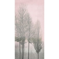 Bennett, Kate Fekete Modern keretes Múzeum Művészeti nyomtatás címmel-szürke fák a rózsaszín panelen I