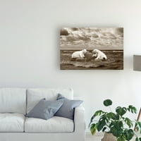 Védjegy Szépművészet „Két jegesmedve partvidék” vászonművészet, Monte Nagler