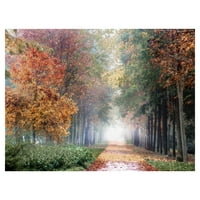 Masterpiece Művészeti Galéria lélegezzen be őszi erdészeti nyomvonal, Irene Weisz Canvas Photo Art Print 30 40