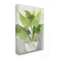 Stupell Industries zöld nagy növényi fehér ültetvényes beltéri otthoni festmény vászon fali művészet, Albena Hristova,